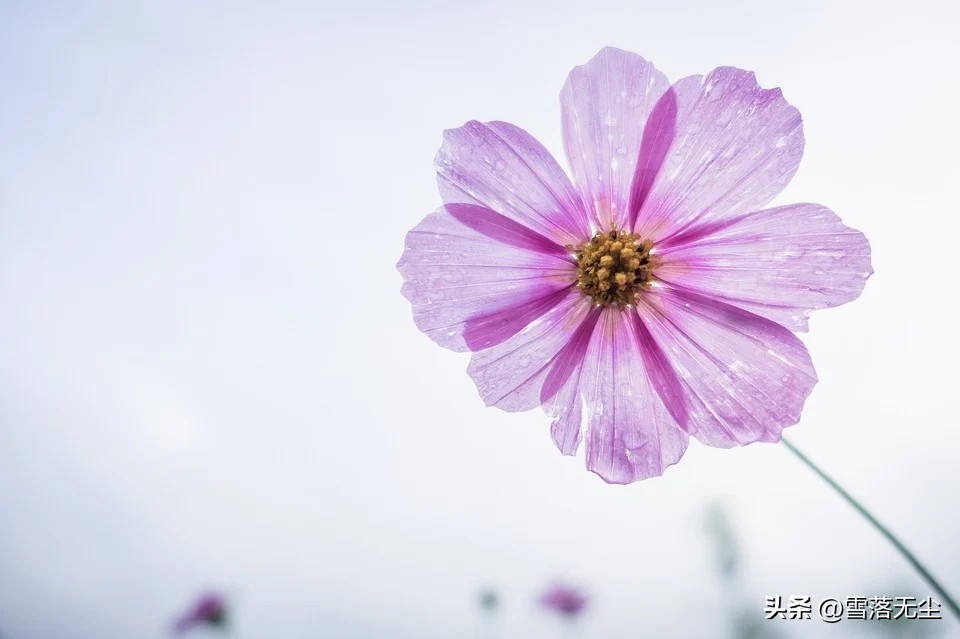 女人第六感能信吗,女人第六感都发现了什么