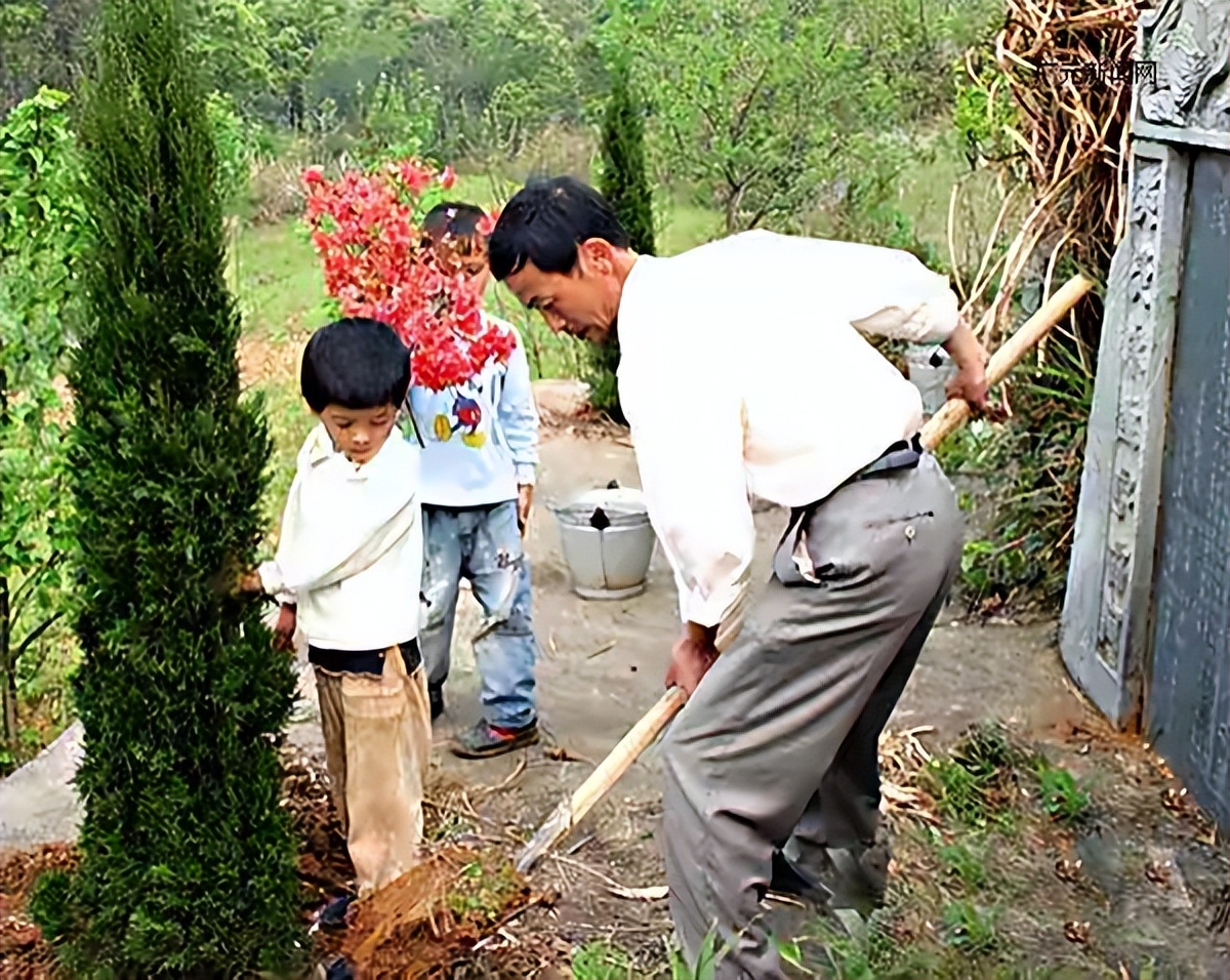 坟旁生三树子孙后代富是啥意思,农村俗语坟前生洞子孙穷