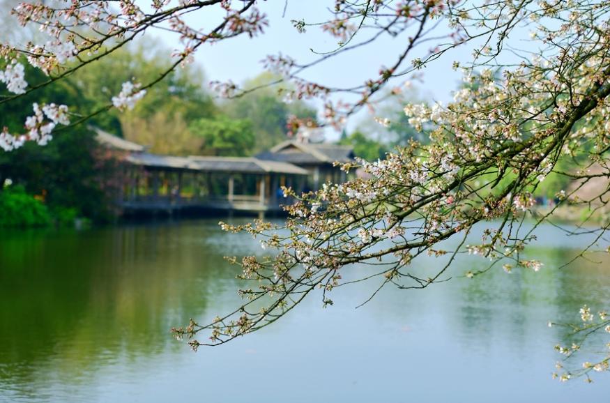 远大抱负且霸气的古诗原创,吟诗作对的经典诗句