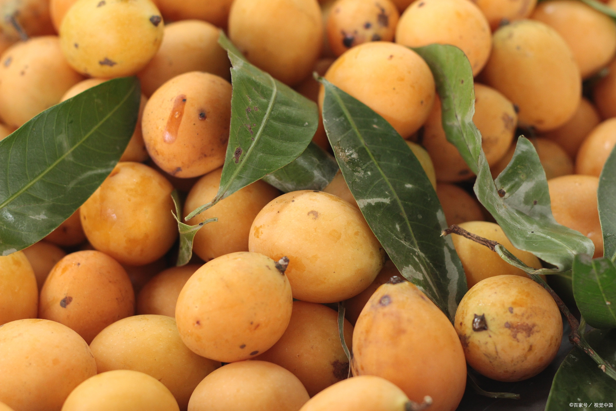 海南十大特产排行榜,海南福山咖啡原味特调冻干粉