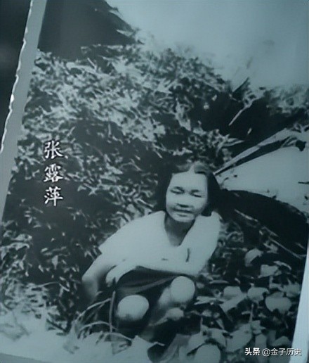 戴笠和张露萍,档案潜伏在戴笠身边的张露萍