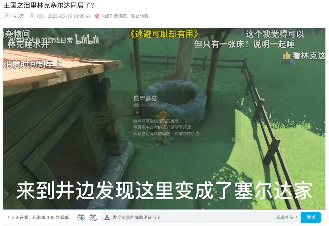 马力欧兄弟汇总,马力欧路易吉cp