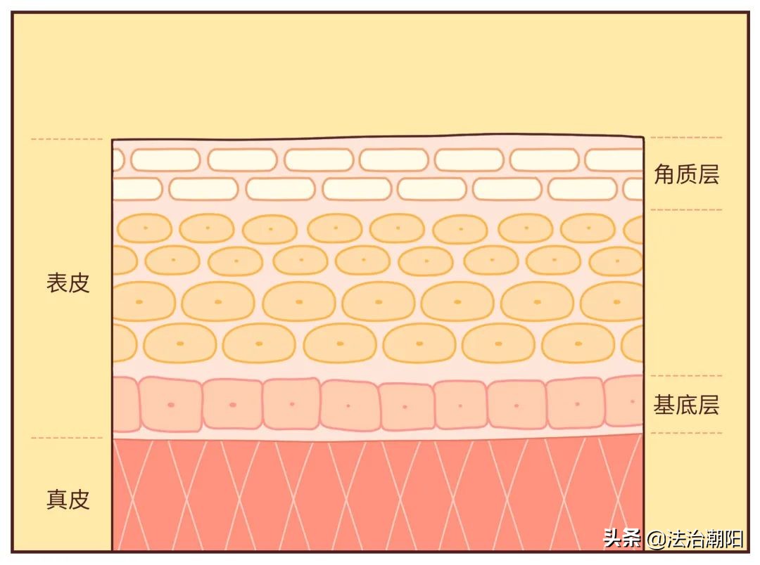 手指长倒刺缺乏哪种维生素,宝宝手指倒刺是缺什么维生素