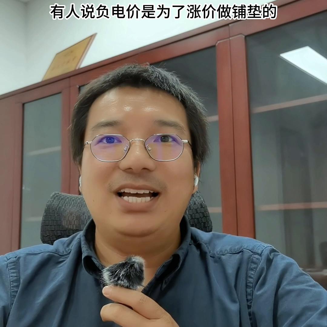 电力现货市场出现负电价,电力现货市场负电价