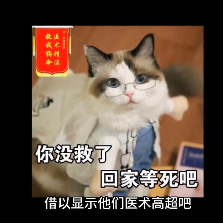 神医扁鹊的传说,神医扁鹊为什么医术高超