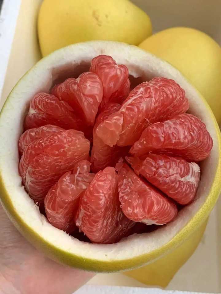 健康养生的零食都有哪些,健康养生零食大全