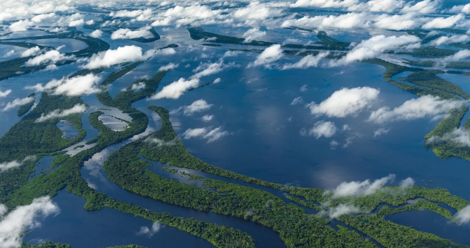 巴西炸出1000斤巨蟒是真的吗,亚马逊河巨大的蟒蛇有多恐怖视频