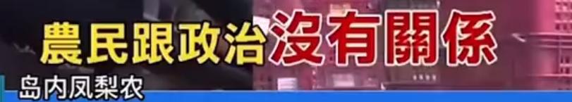 台湾水果商怒斥台当局,台湾凤梨果农斥蔡当局不要乱讲