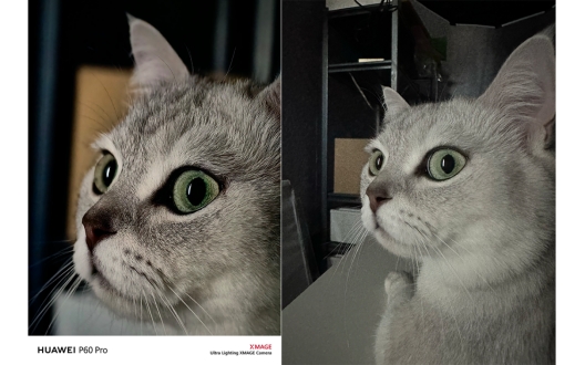 华为p60pro多少钱,华为p60pro+