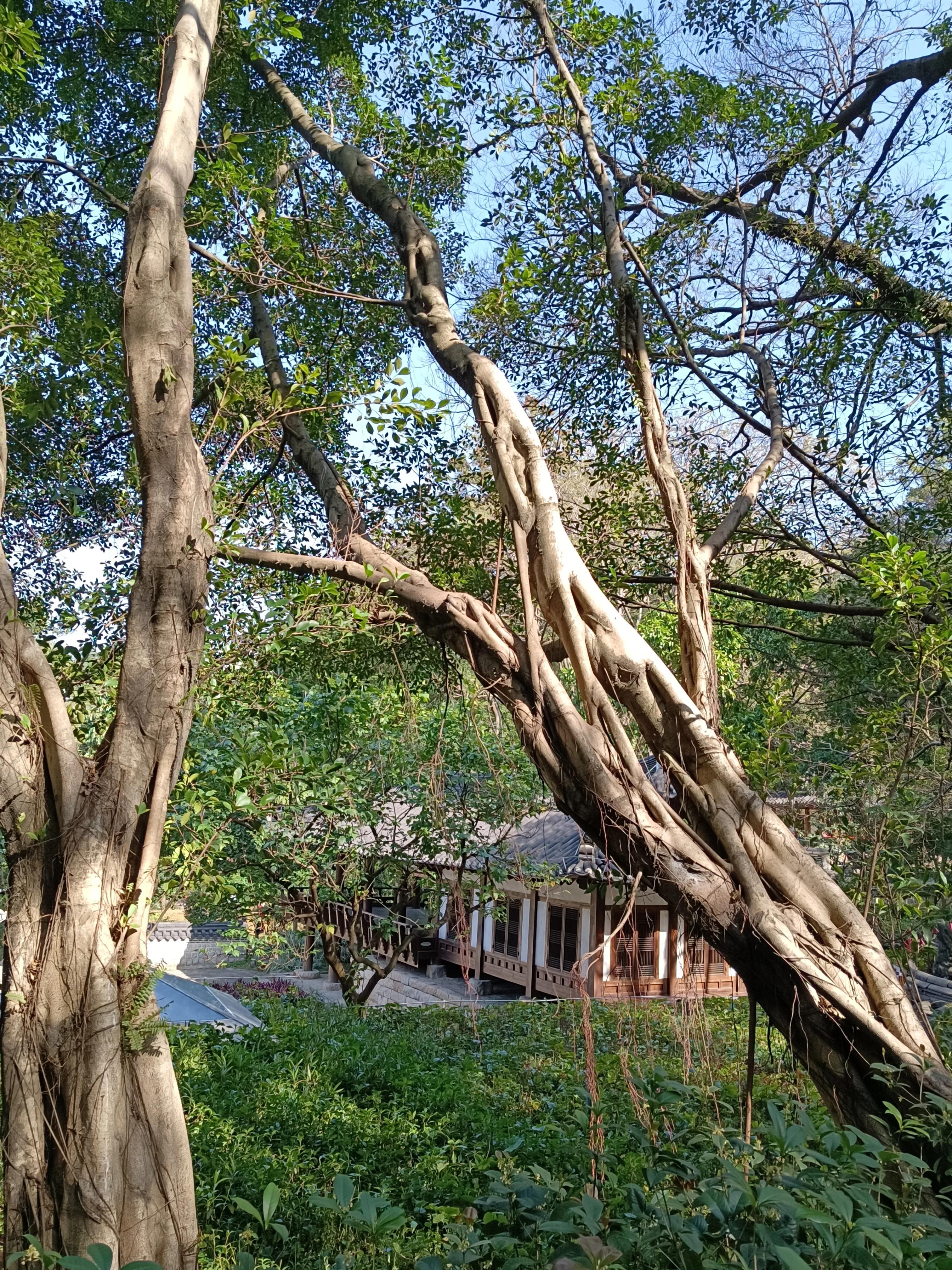 参观广州粤剧博物馆心得,广州旅游全攻略解说