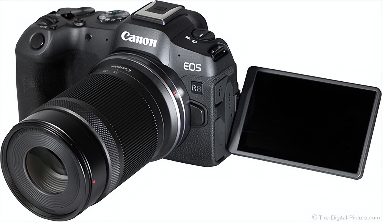 浣宠兘eosr8娣卞害娴嬭瘎,浣宠兘eosr8鐢昏川娆ｈ祻