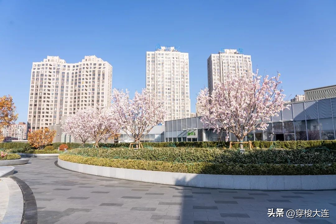 大连华南万象汇几点闭店,大连华南万象汇什么时候开业