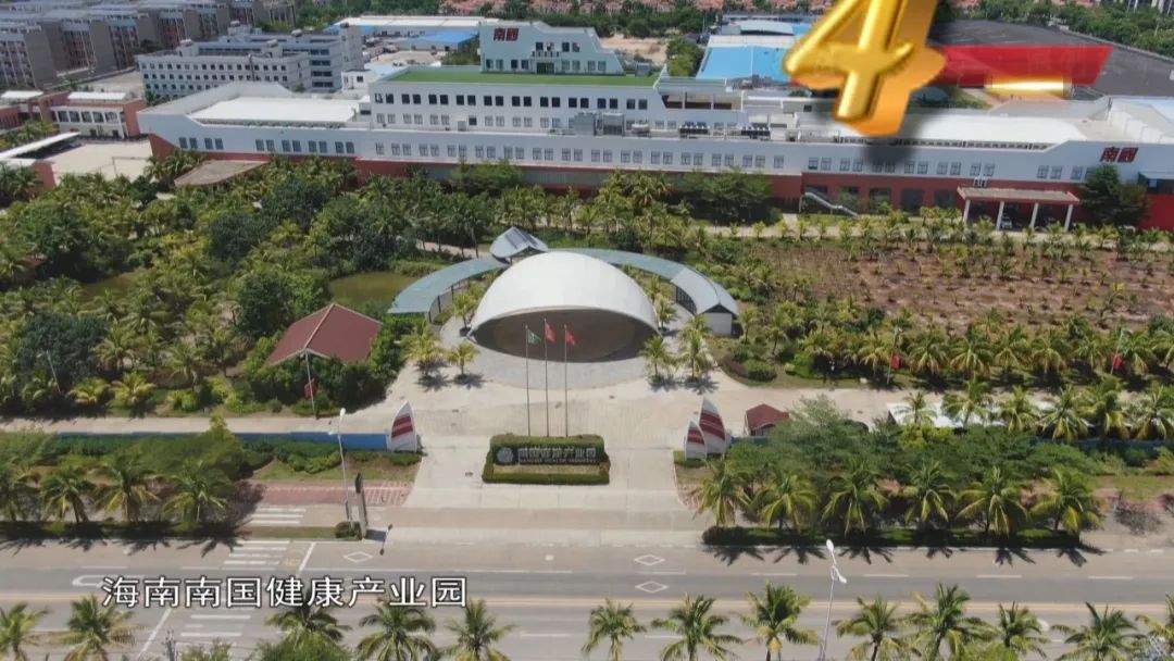 速溶椰子汁粉,好喝的速溶椰子粉