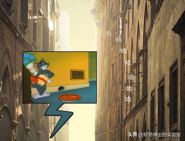 《猫和老鼠》其实不是儿童动画片而是成人片