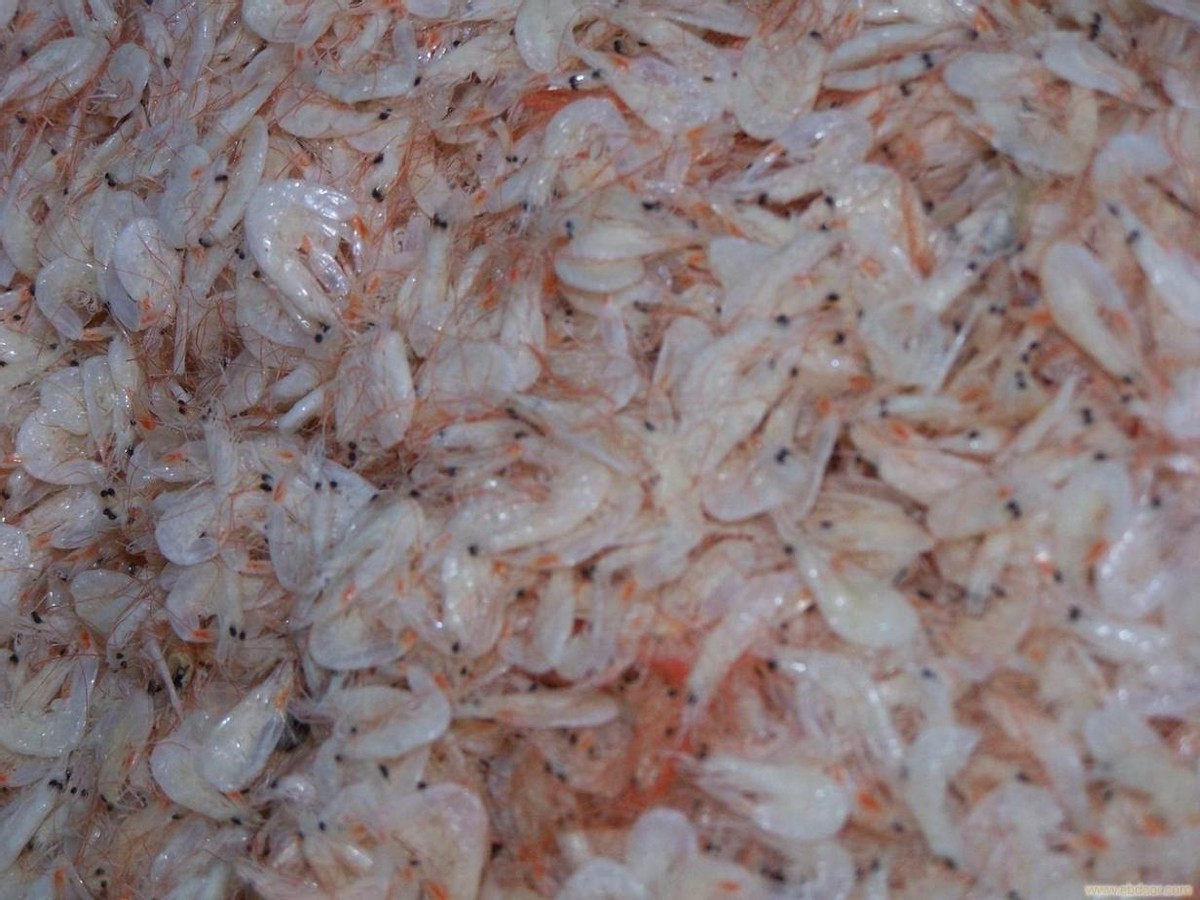 建议中老年人别太节省，4种“高钙食材”该吃就吃，身体强气色好