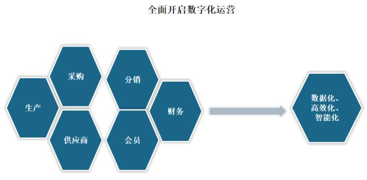 比音勒芬高尔夫男士短袖,比音勒芬高尔夫旗舰店