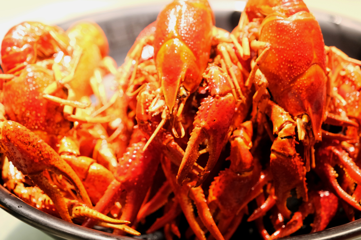 湖南7日游，玩转长沙郴州和张家界，这份美景美食实用攻略请查收