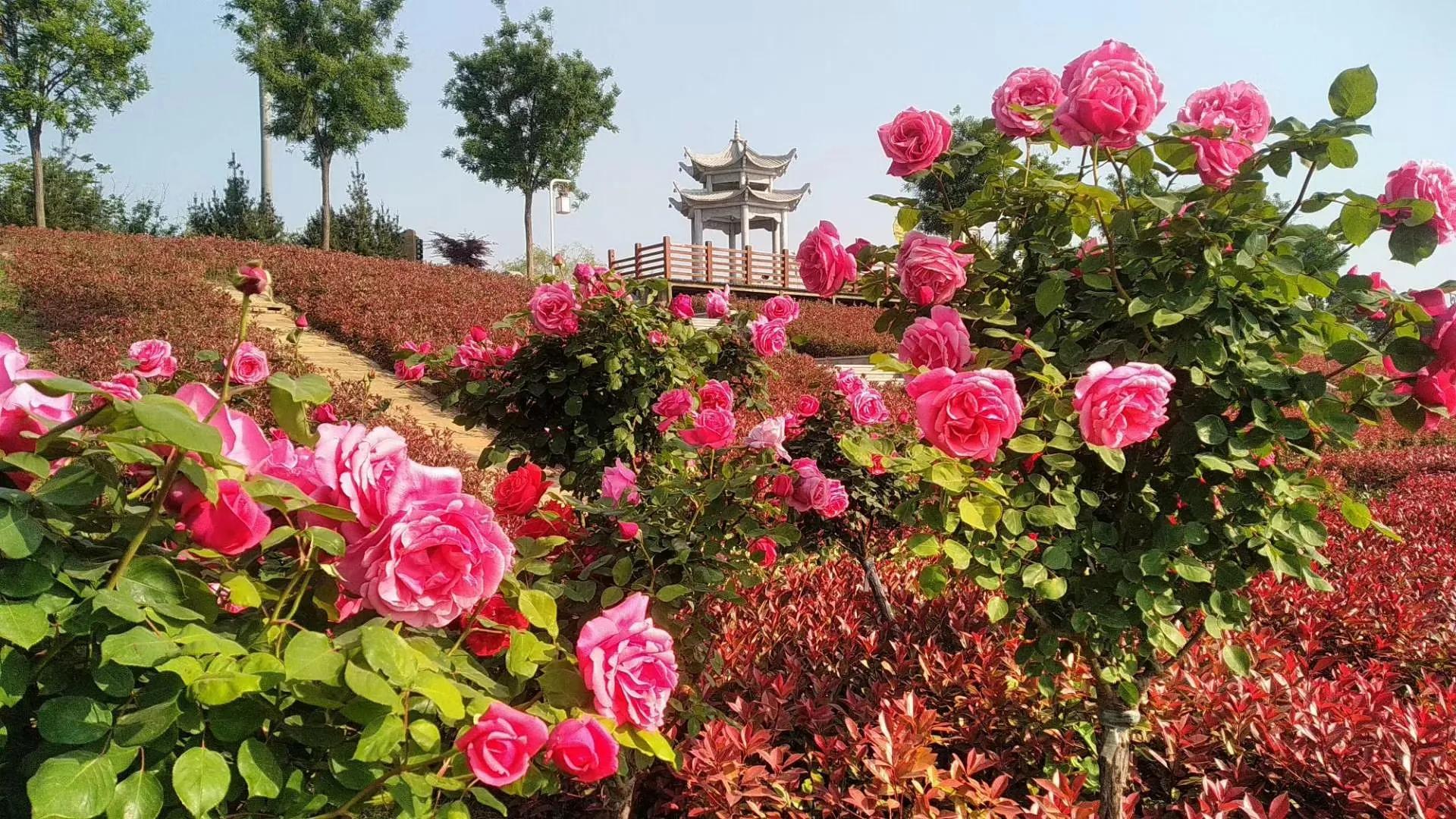 咸阳最好的公园在哪里,咸阳龙湖彩虹郦城规划有公园吗