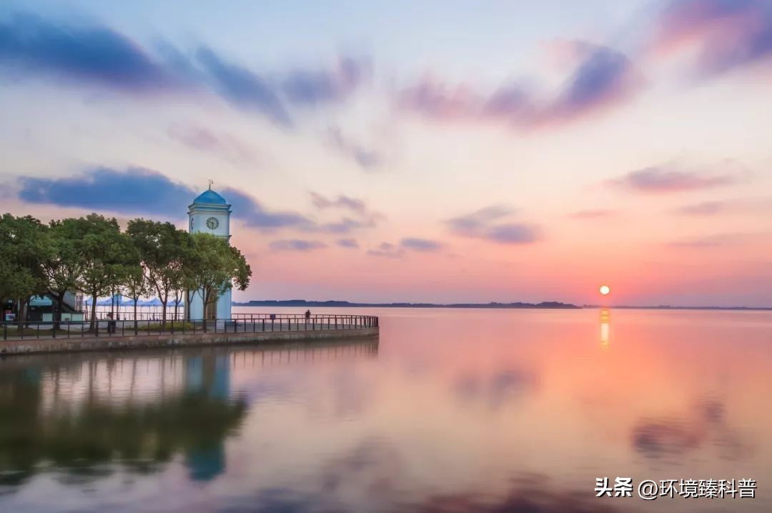 上海春季踏青亲子游好去处,上海周边城市踏青好去处推荐