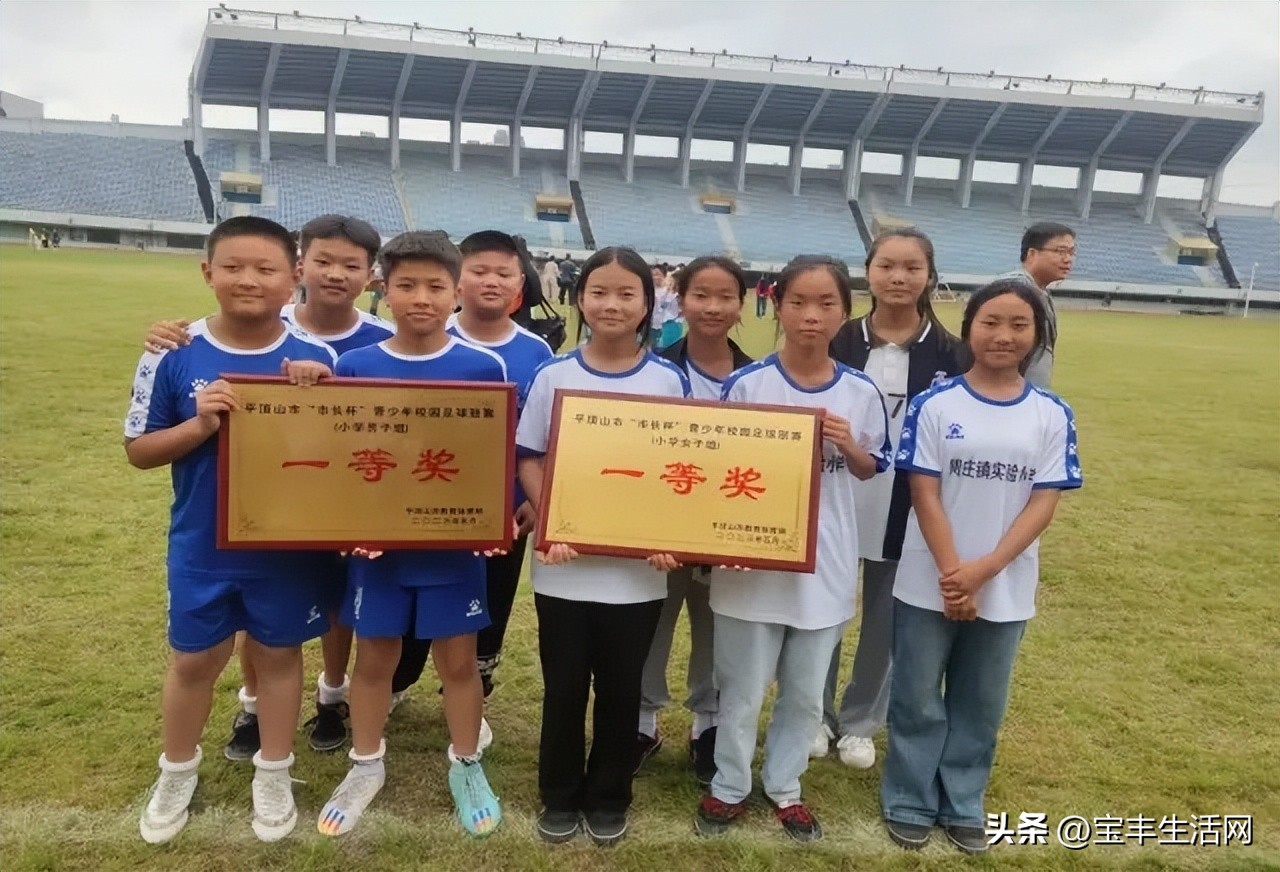 宝丰县小学足球比赛,宝丰县青少年足球