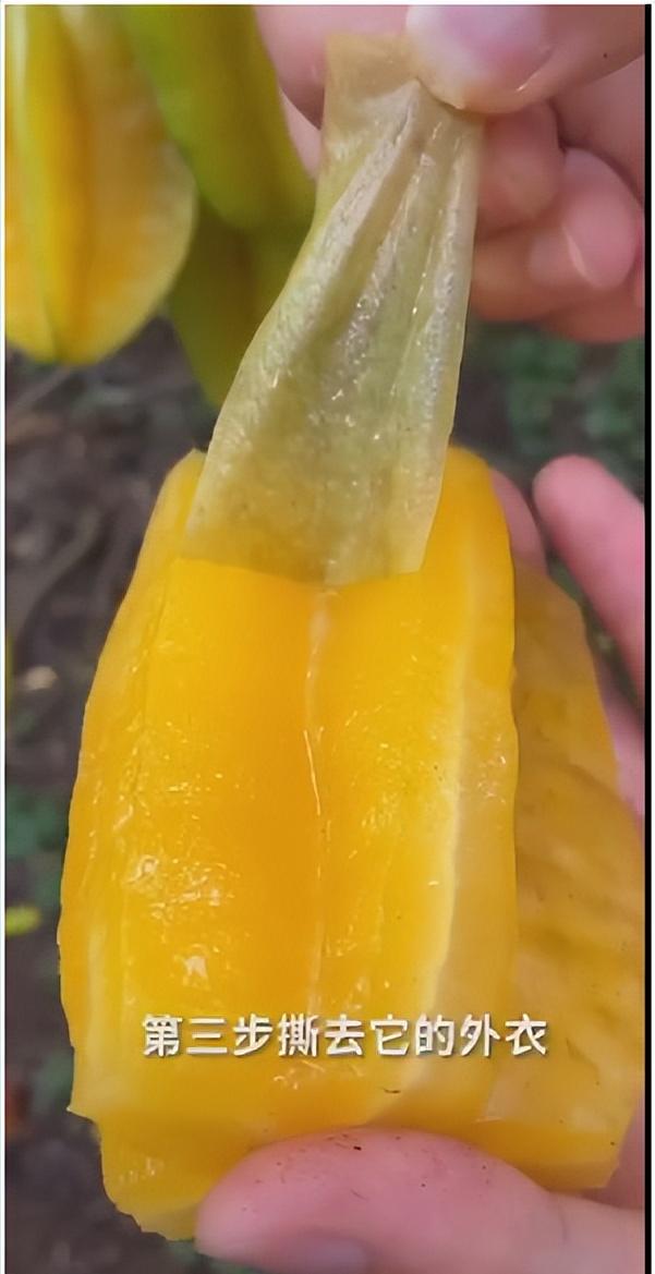 社区水果配送生意不好,水果同城配送要不要送货上门