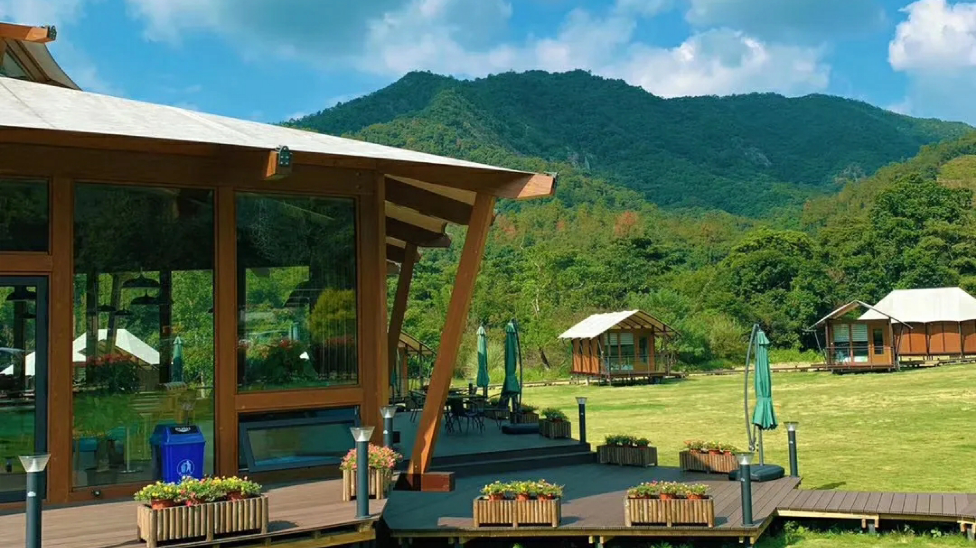 惠州赏梅花地方,惠州惠东梁化镇梅园