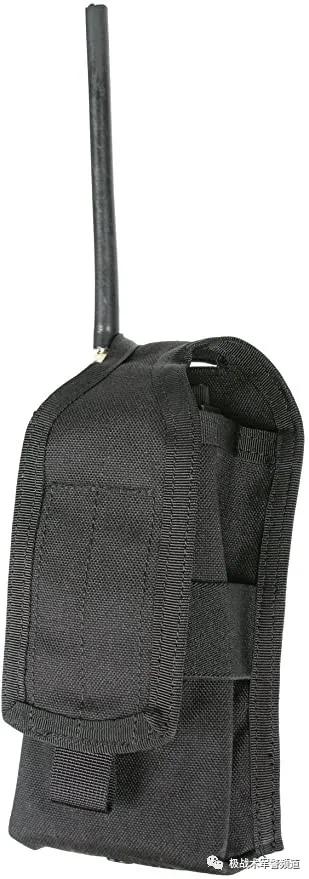 虎年说虎科普视频,虎年说虎运用了哪些说明方法