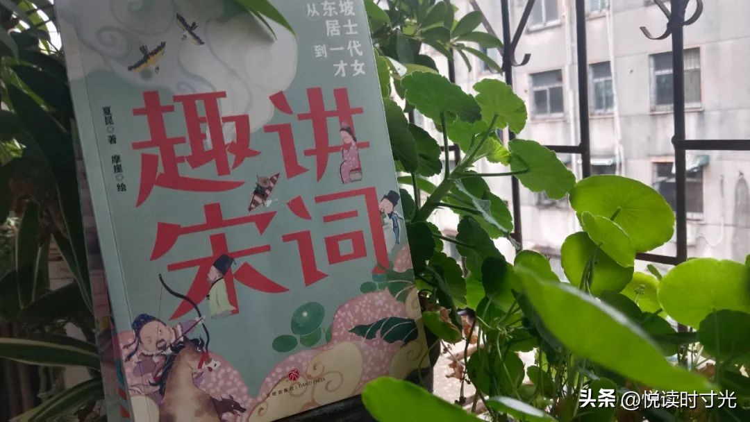 解读最美唐诗宋词,唐诗宋词经典推荐及阅读心得