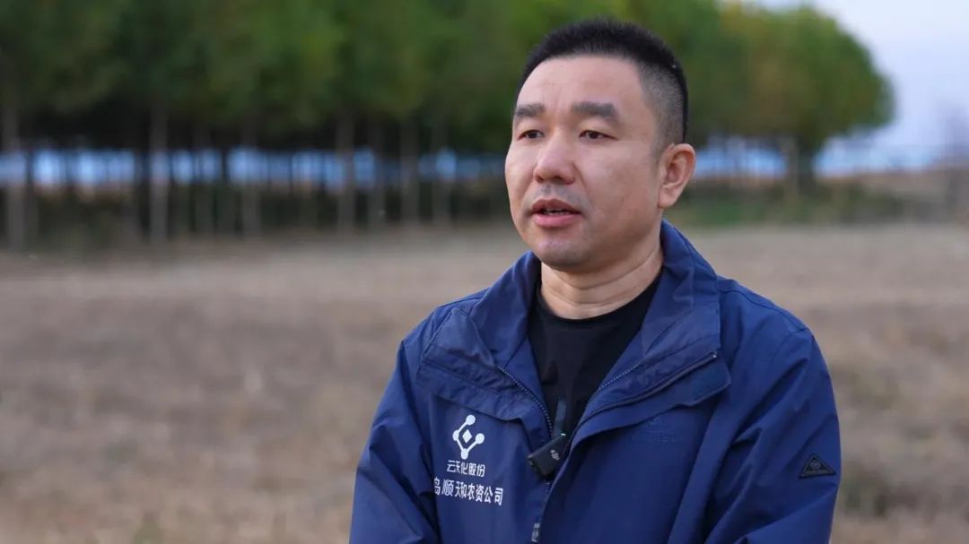 云天化“乡村振兴大地故事”——76万元的“特”果