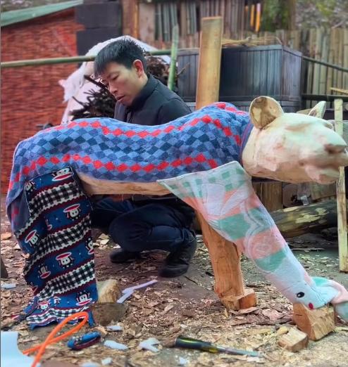 网红帅农鸟哥视频,黑马帅农鸟哥是如何走红的