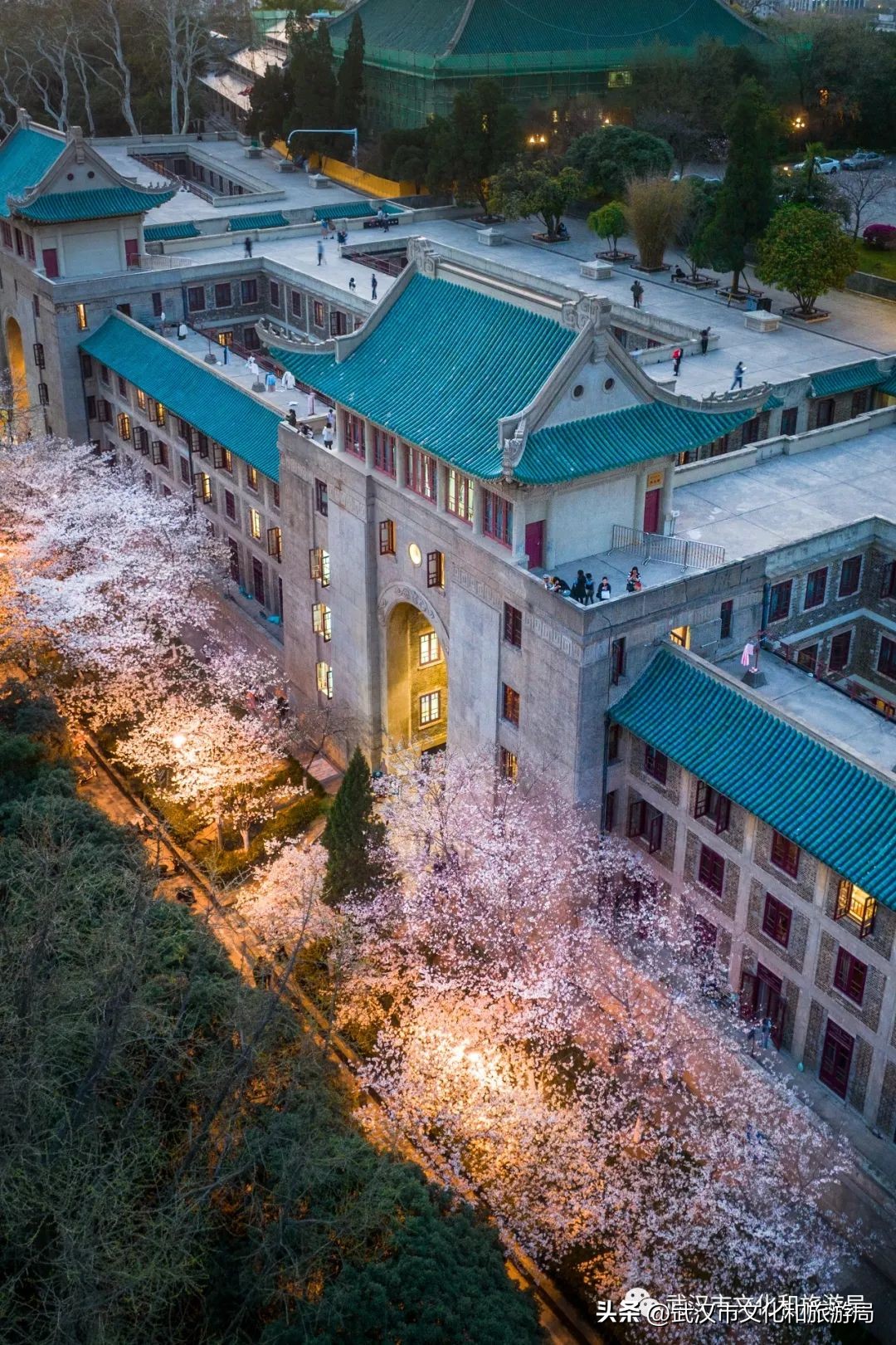 来武汉一定要去一趟东湖看荷花,来武汉看樱花吧