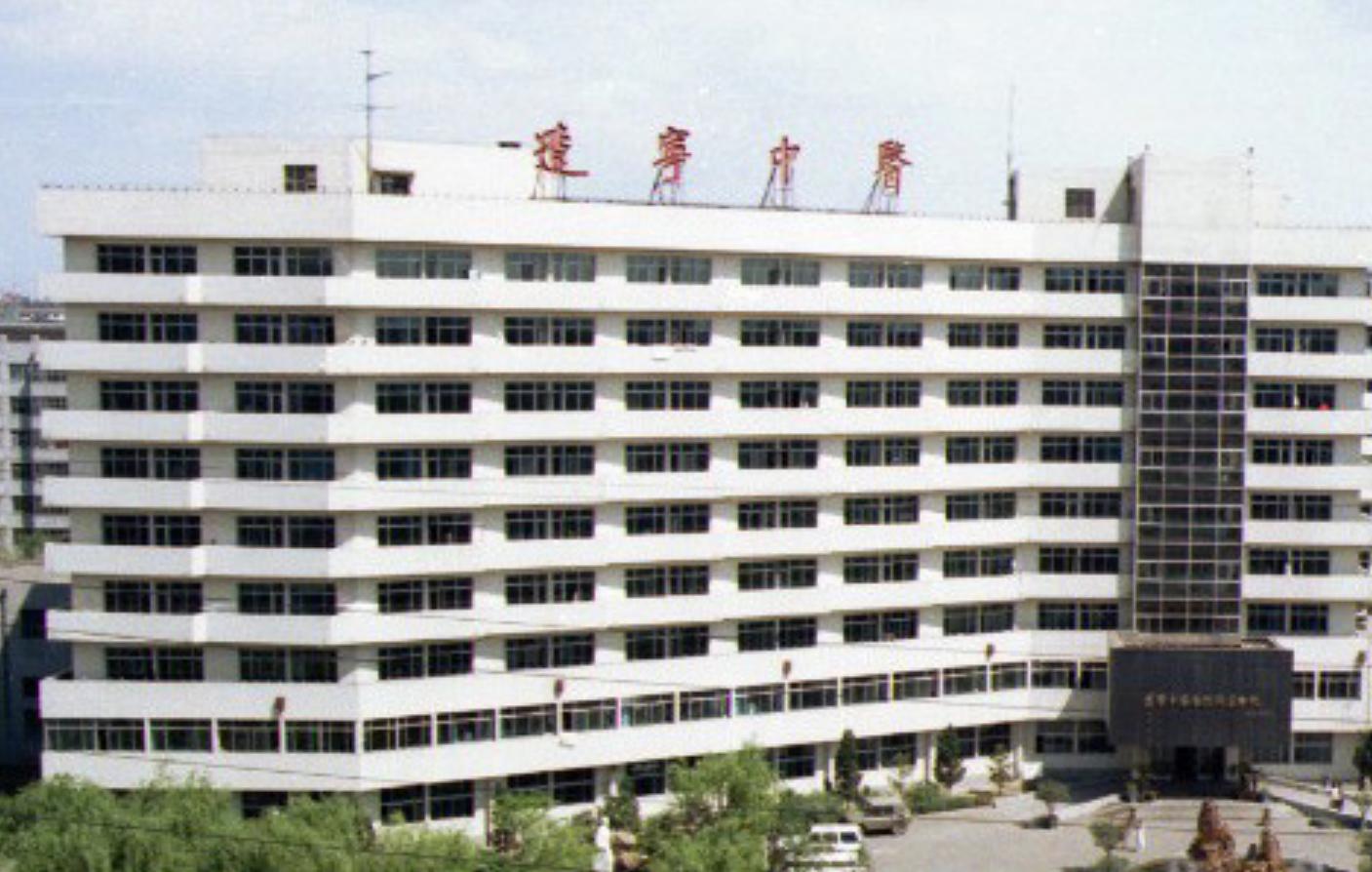 50万买精子生下五国混血儿,东北女生花50万赴美试管婴儿