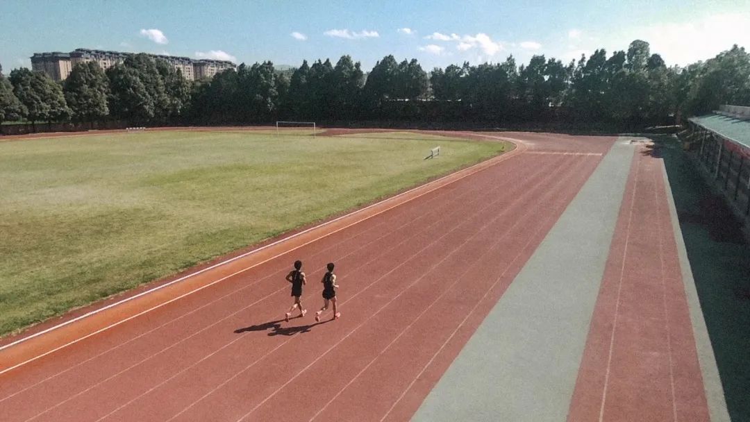 体系改革是什么,体系改革