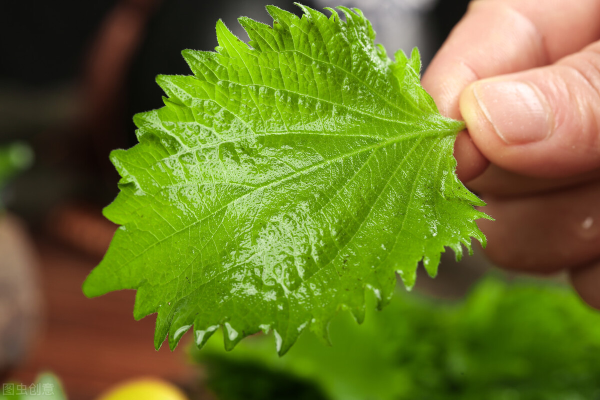 消除息肉肌瘤的偏方,查出息肉可别大意