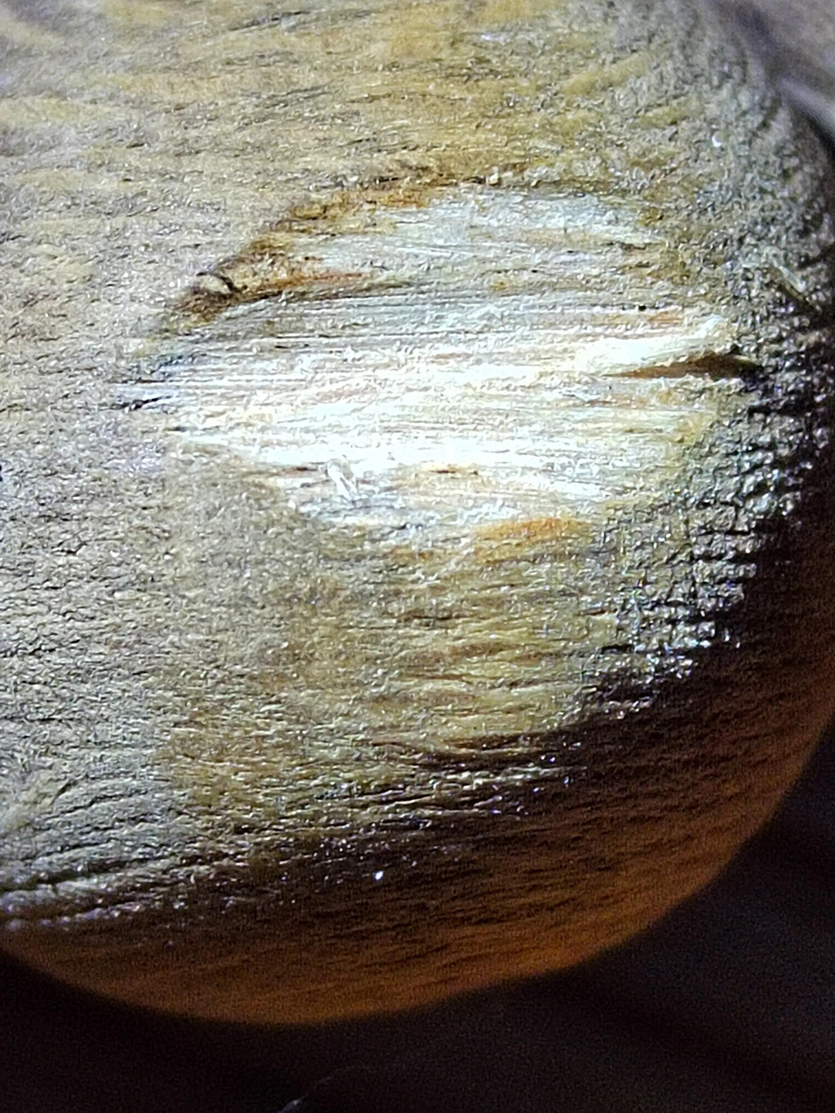 沉香奇楠讲解,奇楠沉香茶和奇楠沉香木