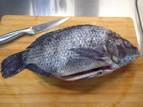 臭水沟中的罗非鱼为啥不能吃,臭水沟里的罗非鱼可以养可以吃吗