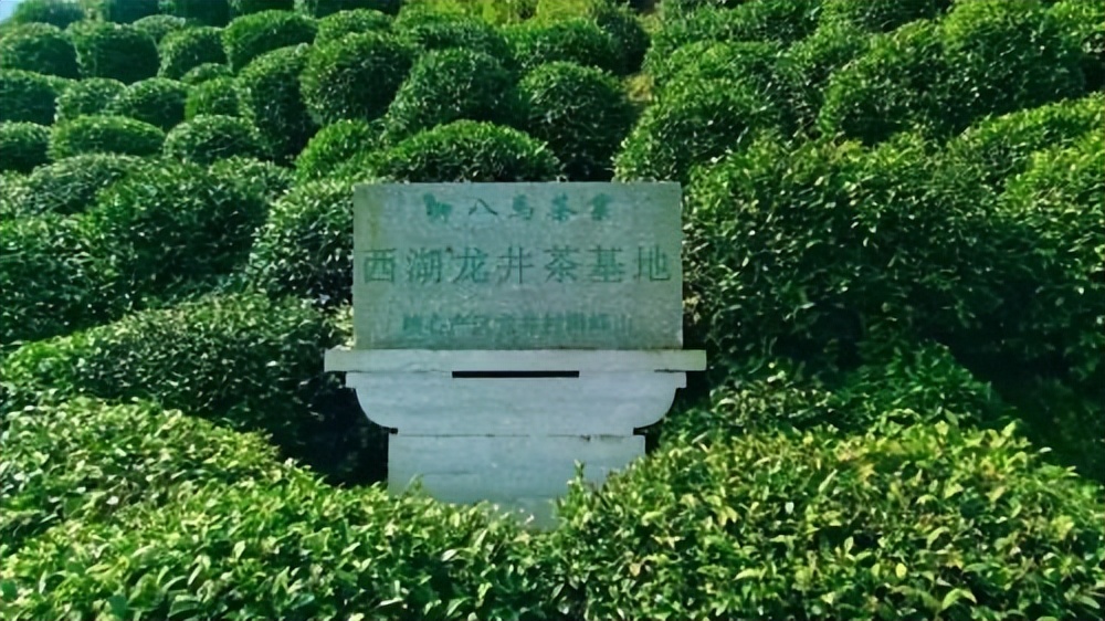 八马茶业是什么茶,夏季适合喝什么养生茶叶好喝