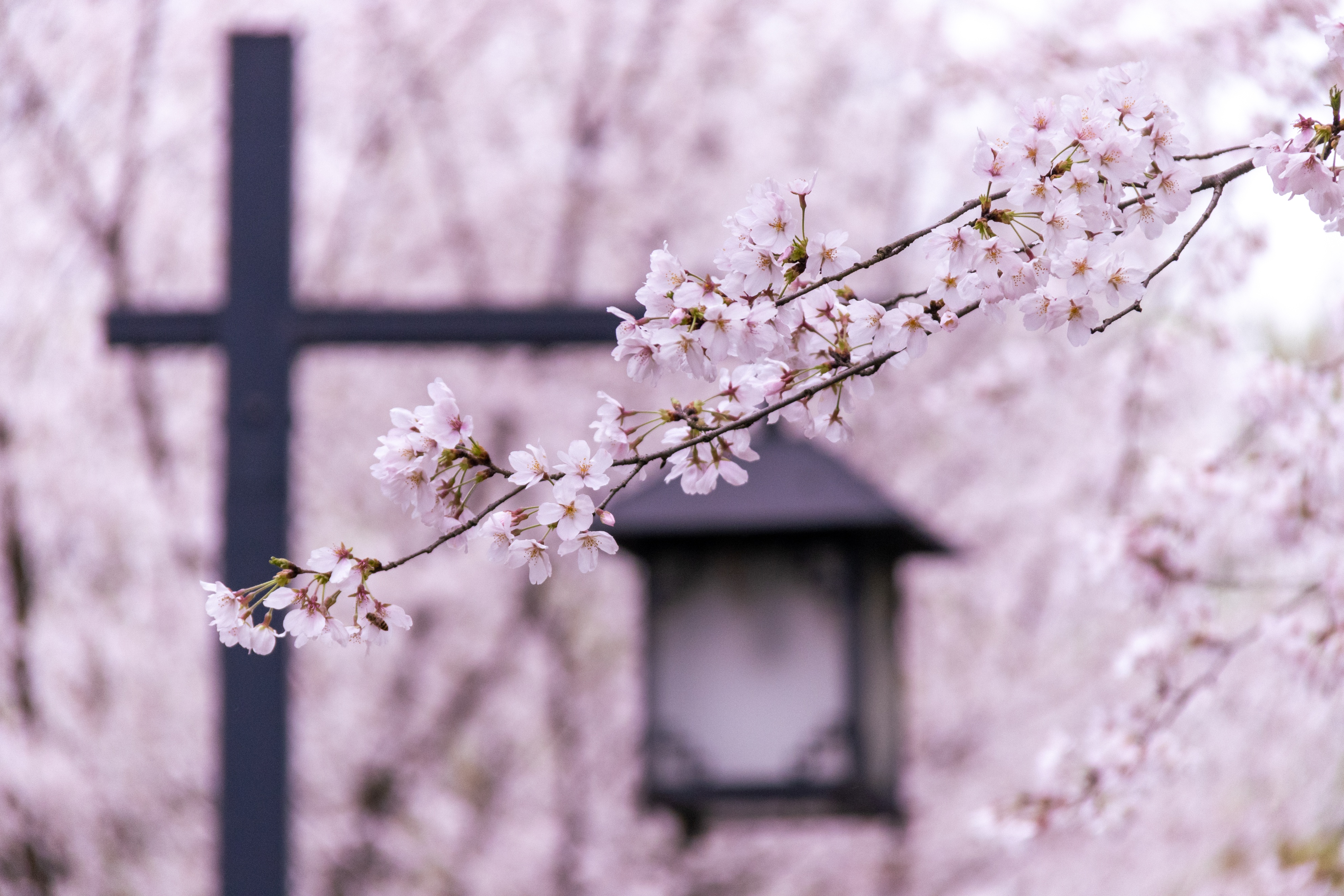 注意，这不是演习！通知类存款即将迎来重大调整！