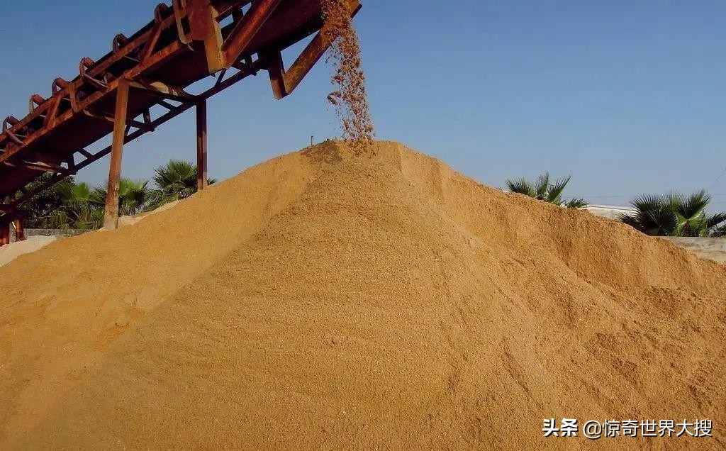 十五个令人震撼的事实,118个令人难以置信的事实