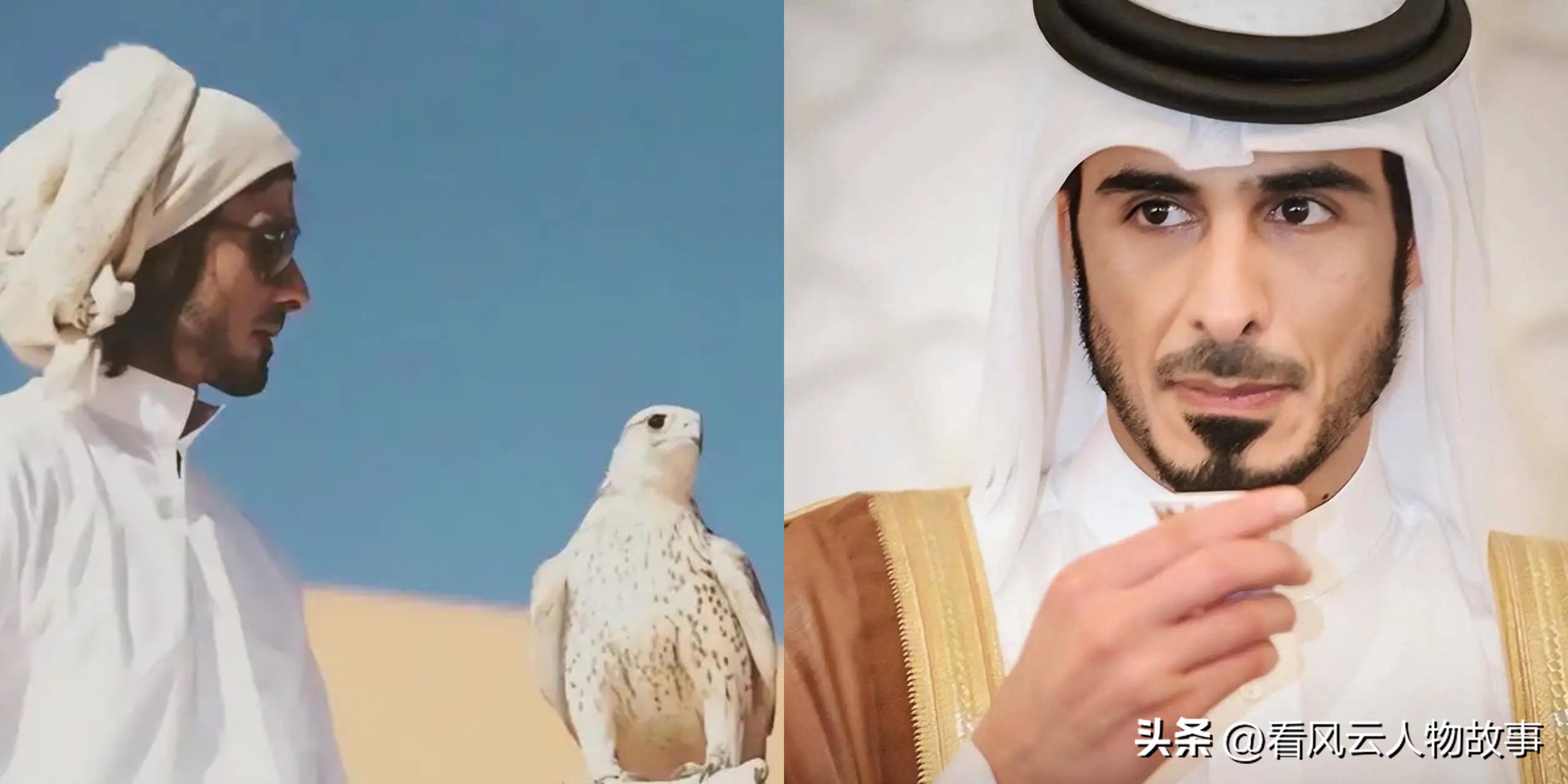 卡塔尔莫扎太后资产,卡塔尔莫扎太后的珠宝