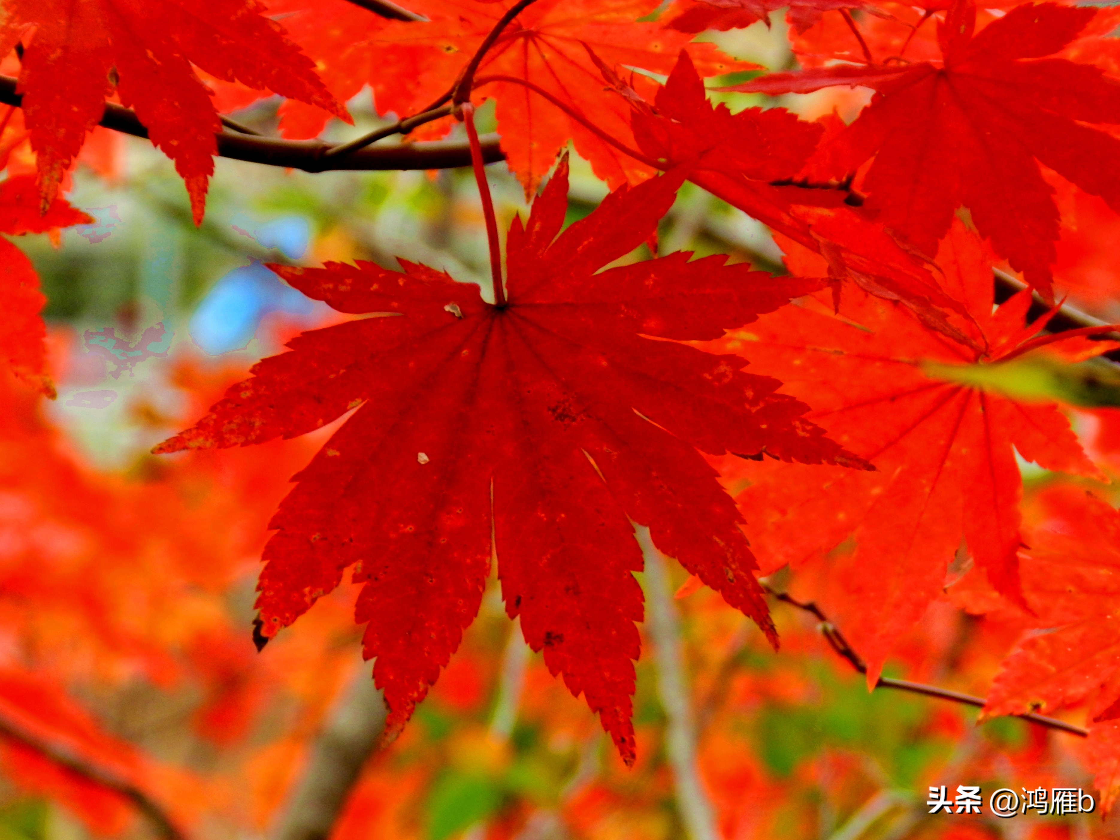 本溪温泉汤沟门票价格,本溪花溪沐枫雪温泉小镇