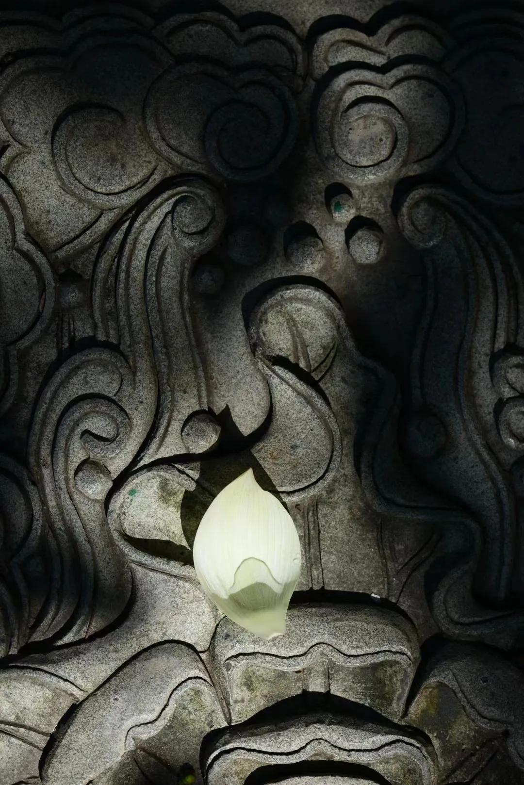 广州六榕寺最近开放吗,广州六榕寺碑文