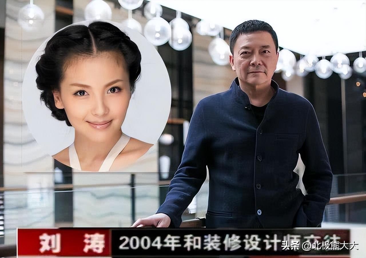 从贤妻到女强人刘涛都经历了什么,贤妻刘涛真实身份