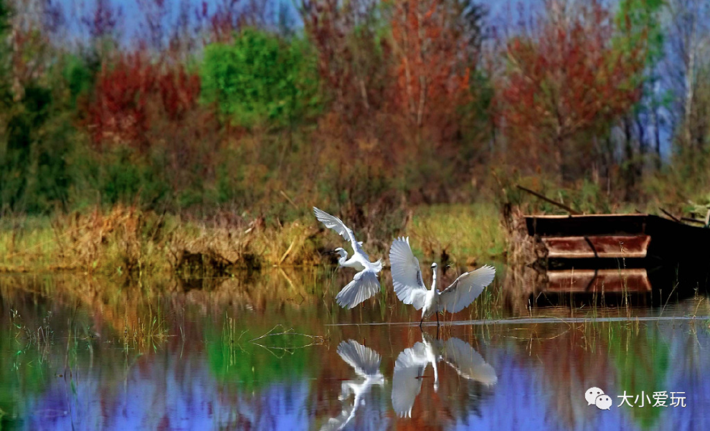 有很多很美的湖泊,这些绝美湖泊你去过几个