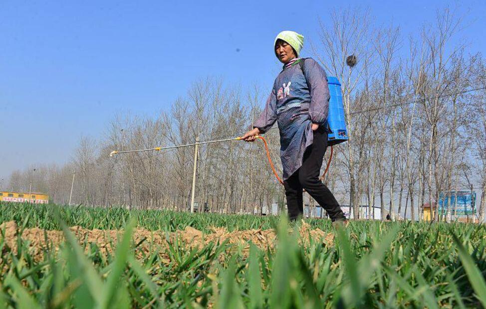 红糖做肥料会招蚂蚁有办法防止吗,过期的红糖可以撒在田里当肥料吗