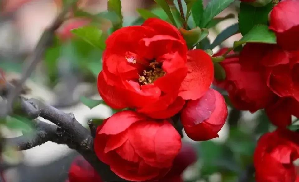 面相中的气色和命运,气色与命运