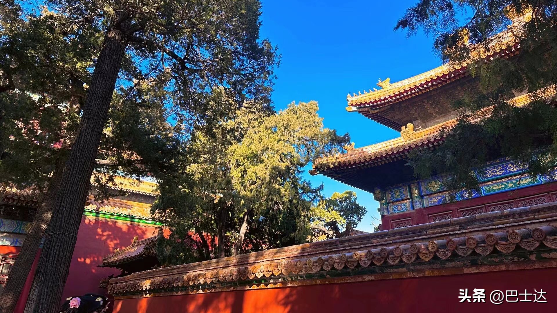 故宫博物院多少钱一张门票,故宫年票及故宫门票价格