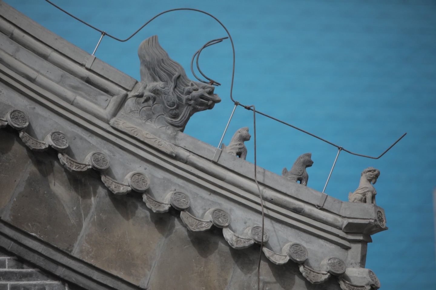 沧桑人景仰丨植槐栽藤,都要从诗人的词句里找线索