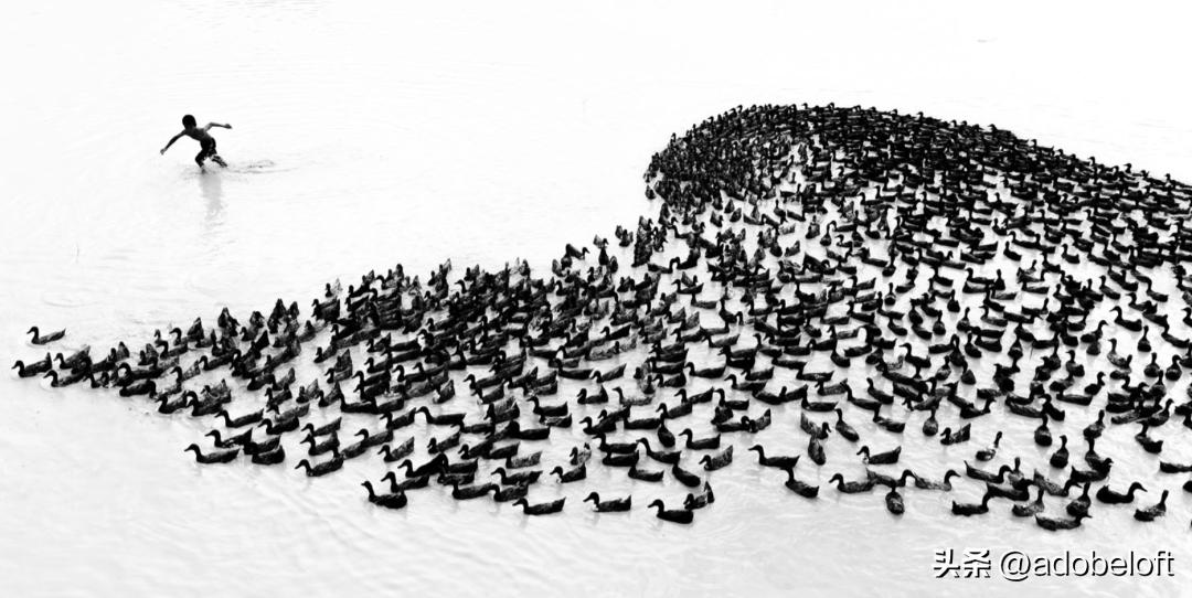 摄影的想法和创意,摄影想法与构思