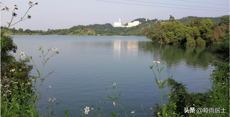 自媒体的发展方向和思路,做好自媒体必须知道的四大知识点